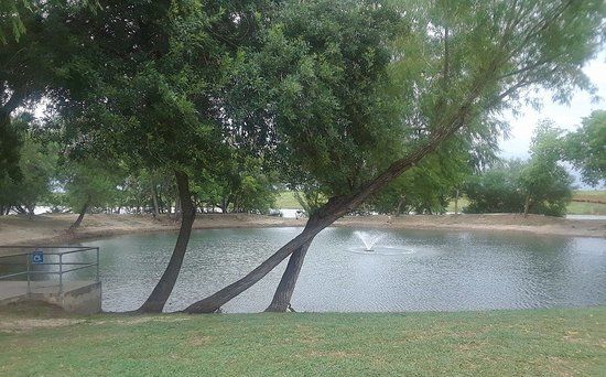 Live Oak Main City Park